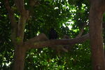 DSC_9078.JPG